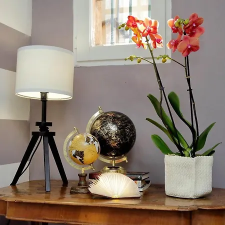 Apartamento Campo De Fiori *